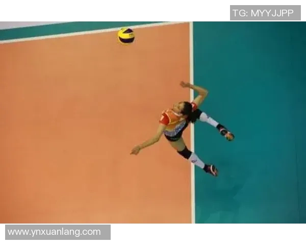 运动最新数据从零基础到排球高手的全面提升指南与实用技巧分享